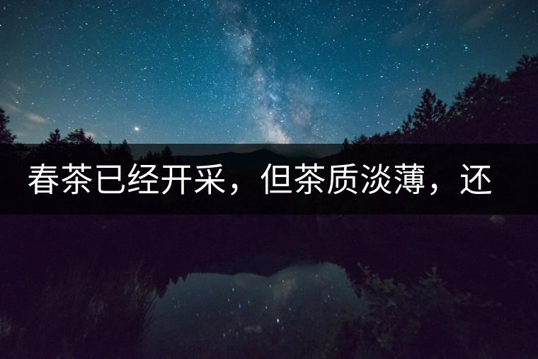 春茶已經(jīng)開采，但茶質(zhì)淡薄，還需一兩周