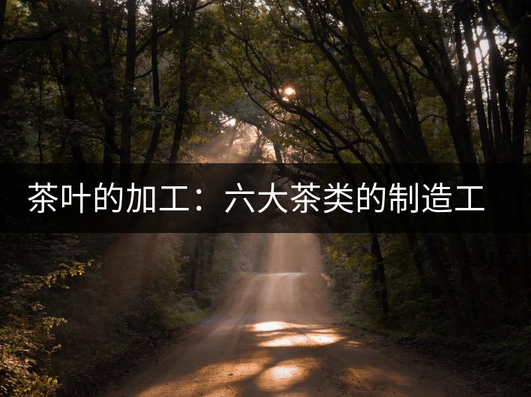 茶葉的加工：六大茶類的制造工藝簡介