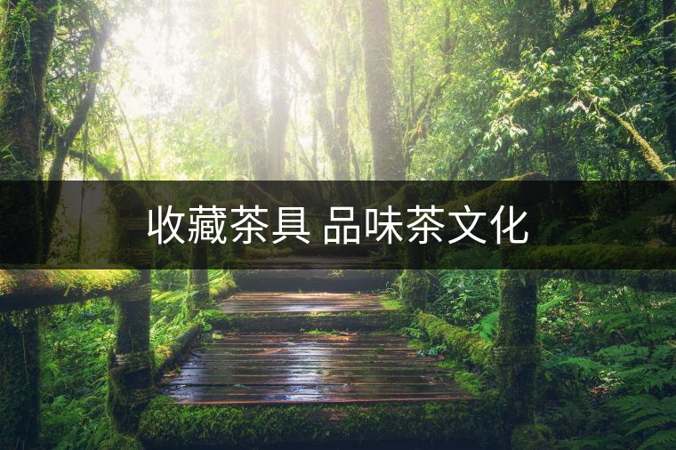 收藏茶具 品味茶文化