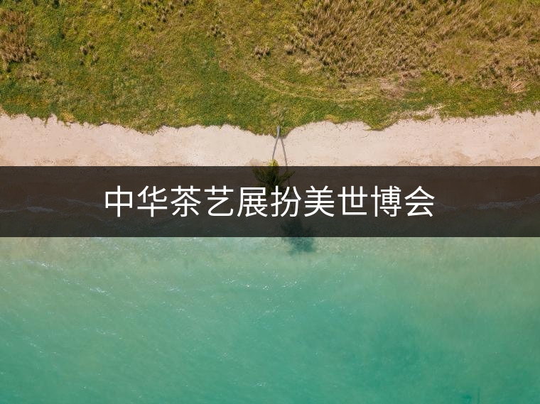 中華茶藝展扮美世博會