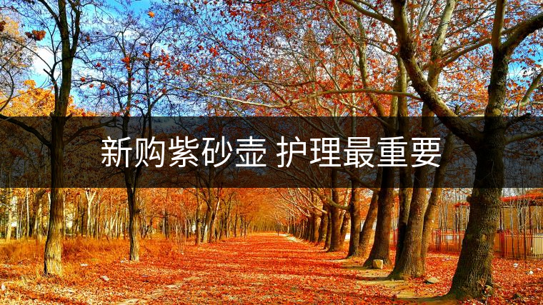 新購(gòu)紫砂壺 護(hù)理最重要