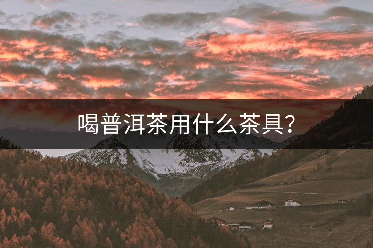 喝普洱茶用什么茶具？