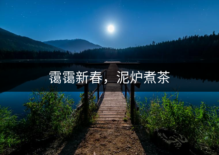 靄靄新春，泥爐煮茶