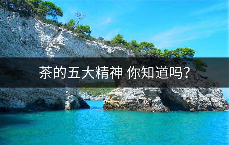 茶的五大精神 你知道嗎？