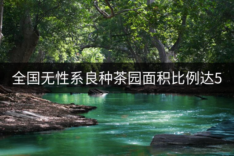 全國無性系良種茶園面積比例達56.5% 有機茶園6.2% 全國無性系良種茶園面積比例達56.5% 有機茶園6.2%
