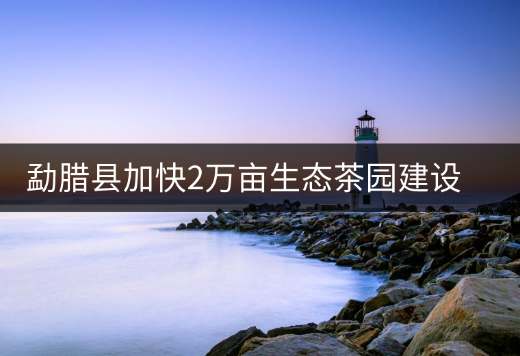 勐臘縣加快2萬畝生態(tài)茶園建設(shè)，促進茶葉產(chǎn)業(yè)持續(xù)發(fā)展