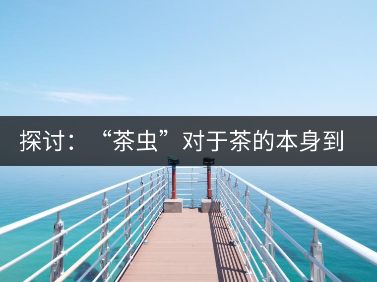 探討：“茶蟲(chóng)”對(duì)于茶的本身到底是好是壞？