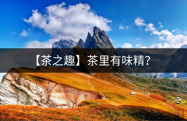 【茶之趣】茶里有味精？