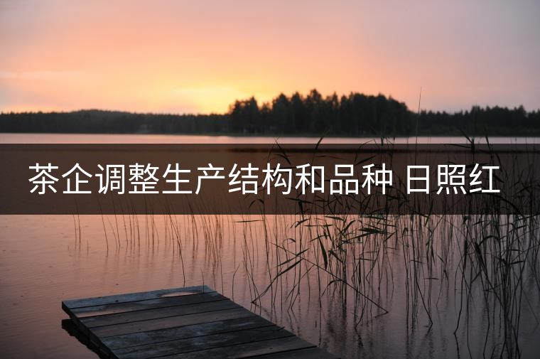 茶企調(diào)整生產(chǎn)結構和品種 日照紅茶產(chǎn)量銷量齊看漲