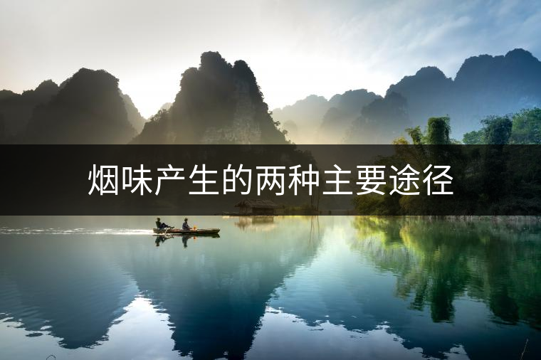 煙味產生的兩種主要途徑