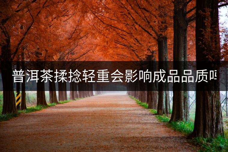 普洱茶揉捻輕重會影響成品品質嗎？