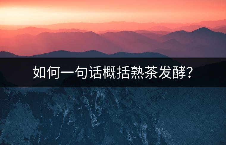 如何一句話概括熟茶發(fā)酵？