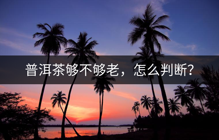 普洱茶夠不夠老，怎么判斷？