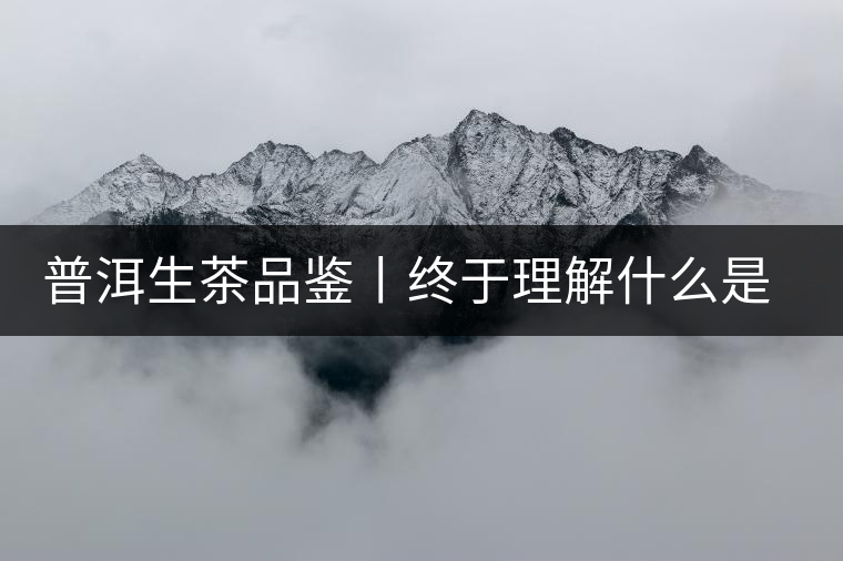 普洱生茶品鑒丨終于理解什么是“醇厚、耐泡，回甘”了
