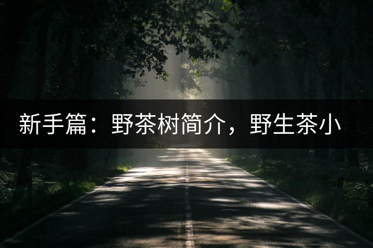 新手篇：野茶樹簡介，野生茶小知識