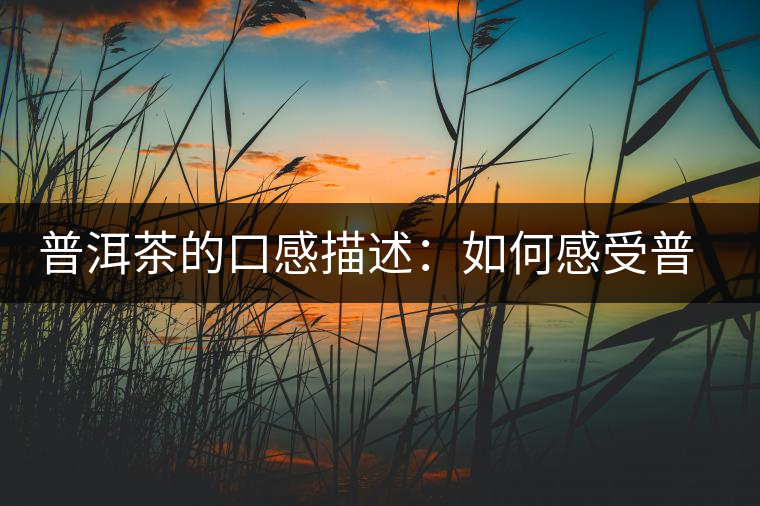 普洱茶的口感描述：如何感受普洱茶的味道