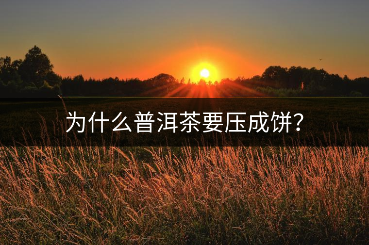 為什么普洱茶要壓成餅？