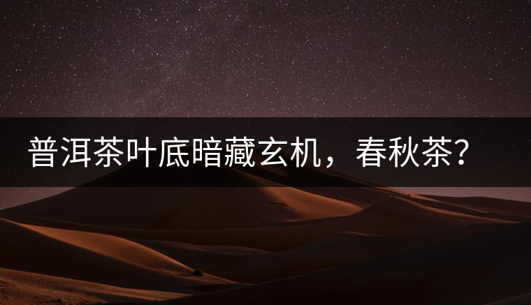 普洱茶葉底暗藏玄機，春秋茶？大樹茶？野生茶？班章料？你讀懂了嗎？