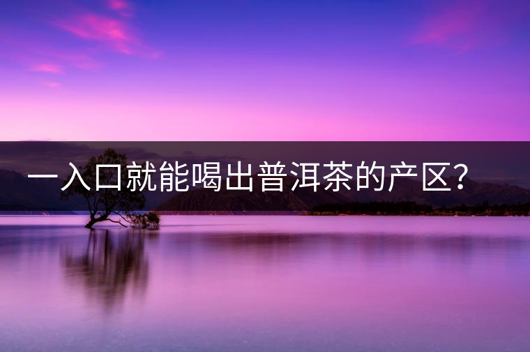 一入口就能喝出普洱茶的產(chǎn)區(qū)？怎么能不讀這篇文章呢？