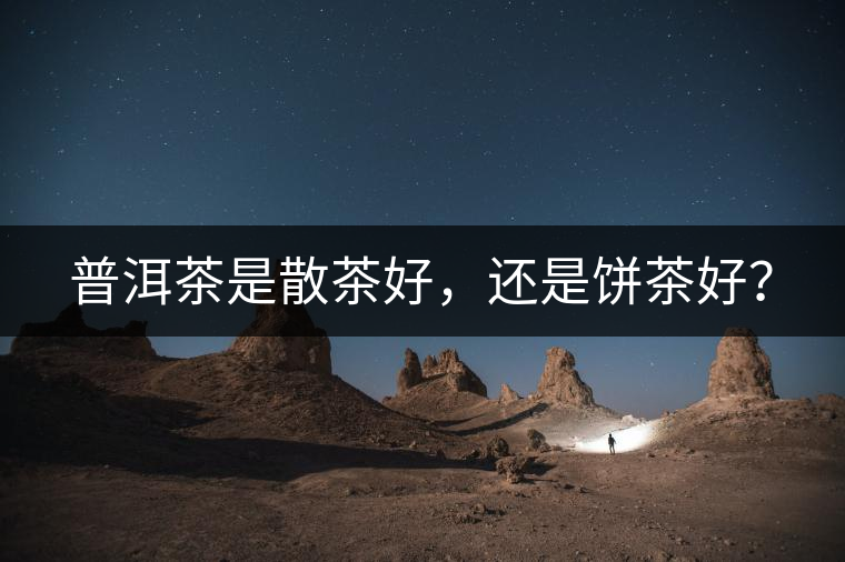 普洱茶是散茶好，還是餅茶好？