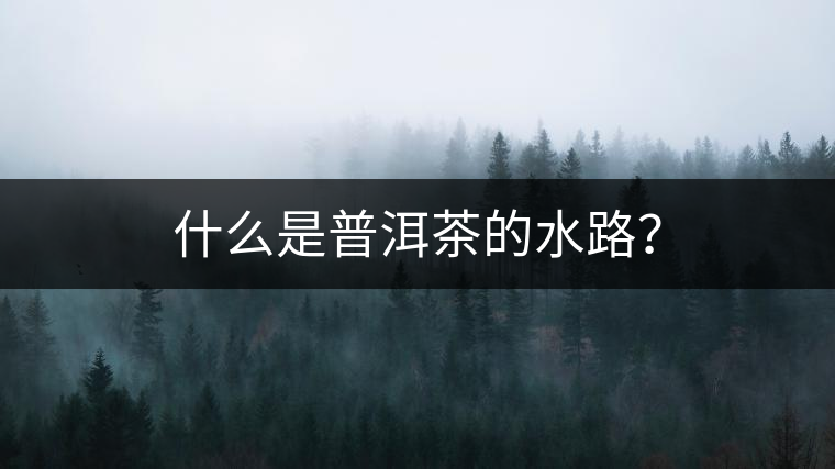 什么是普洱茶的水路？