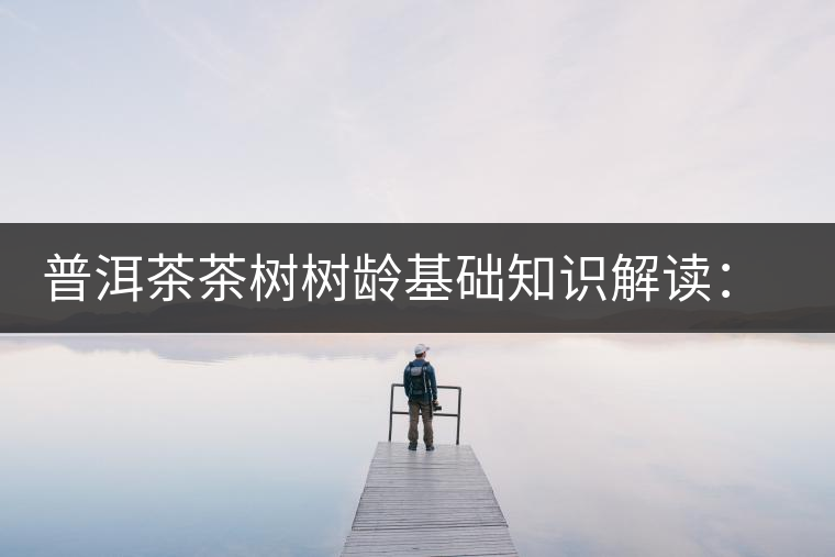 普洱茶茶樹(shù)樹(shù)齡基礎(chǔ)知識(shí)解讀：多大樹(shù)齡的茶才算古樹(shù)茶？