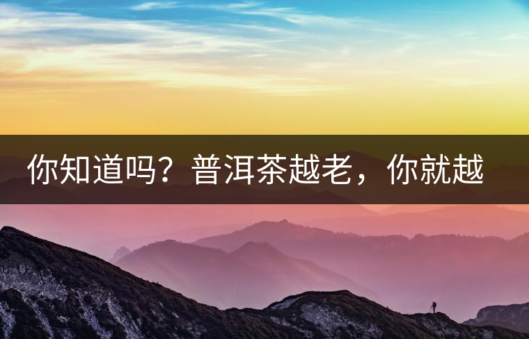 你知道嗎？普洱茶越老，你就越年輕