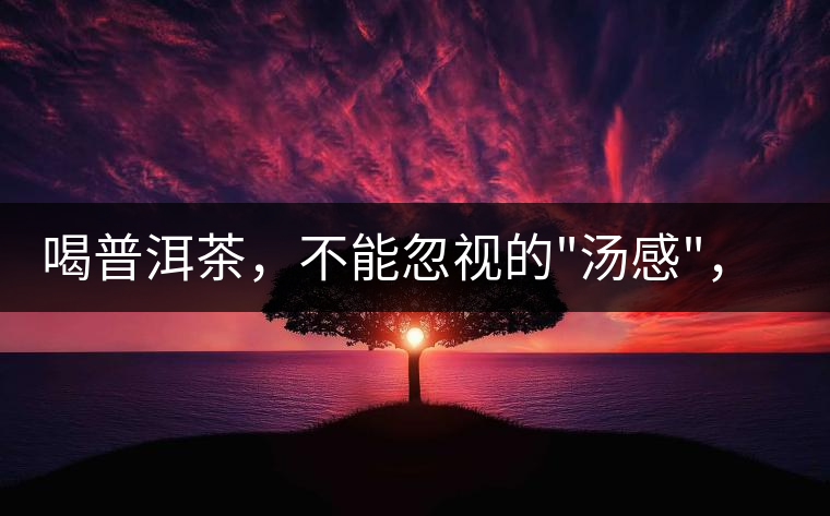 喝普洱茶，不能忽視的