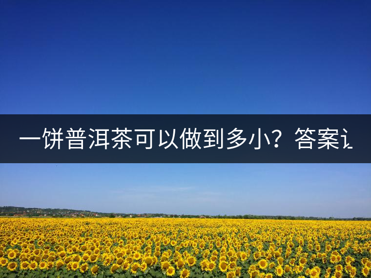 一餅普洱茶可以做到多小？答案讓人意想不到...