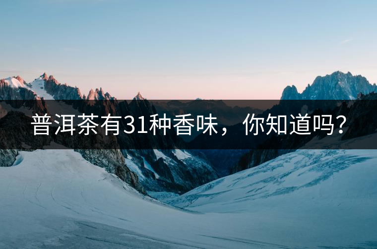 普洱茶有31種香味，你知道嗎？