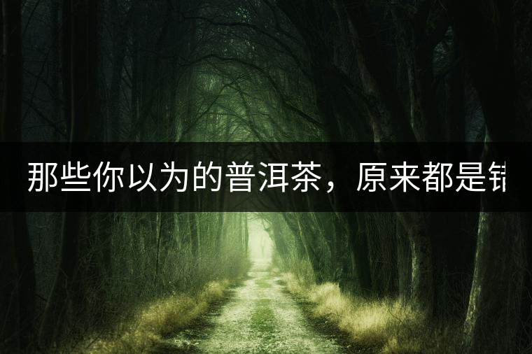 那些你以為的普洱茶，原來都是錯(cuò)的！