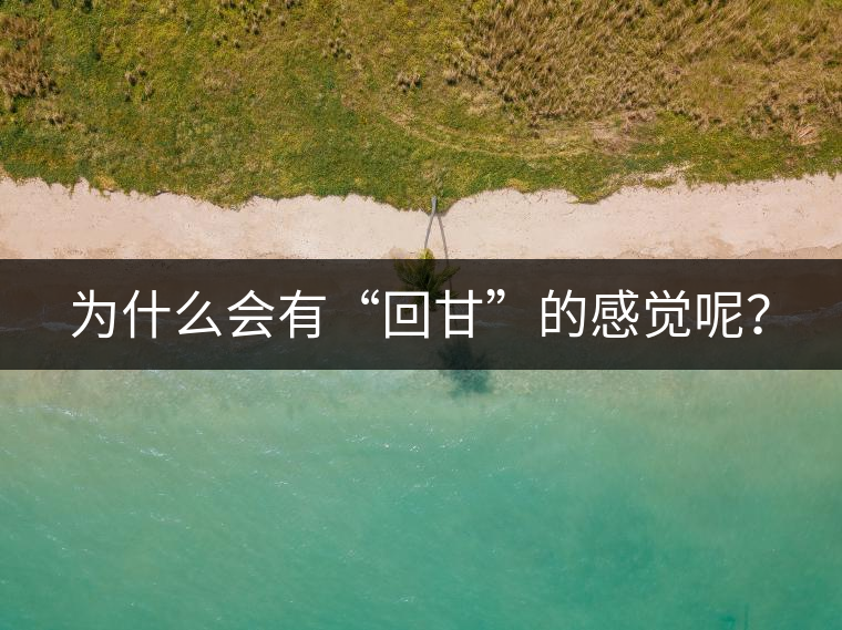 為什么會有“回甘”的感覺呢？