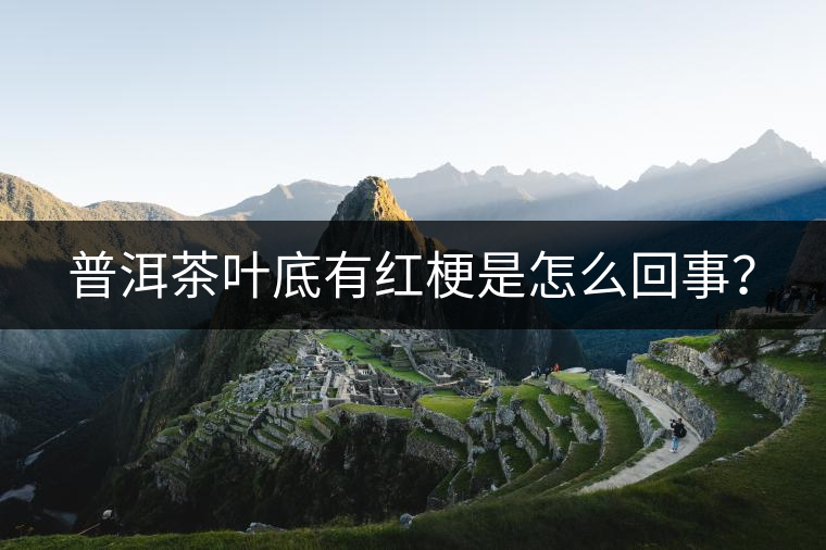 普洱茶葉底有紅梗是怎么回事？