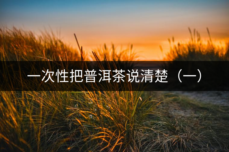 一次性把普洱茶說清楚（一）