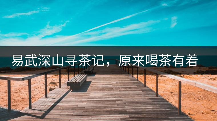 易武深山尋茶記，原來喝茶有著這么多誤區(qū)