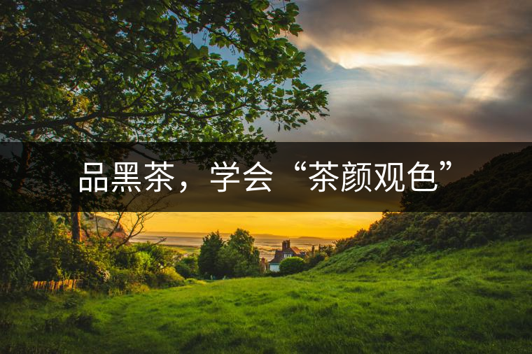 品黑茶，學(xué)會(huì)“茶顏觀色”