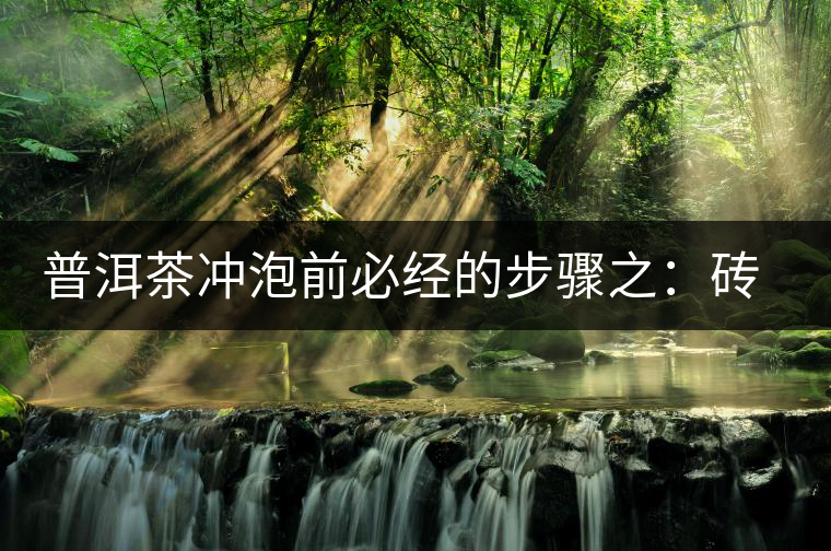 普洱茶沖泡前必經(jīng)的步驟之：磚茶如何撬？