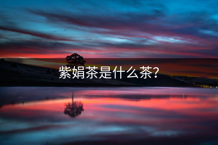紫娟茶是什么茶？