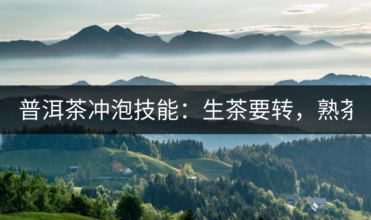 普洱茶沖泡技能：生茶要轉(zhuǎn)，熟茶要柔！