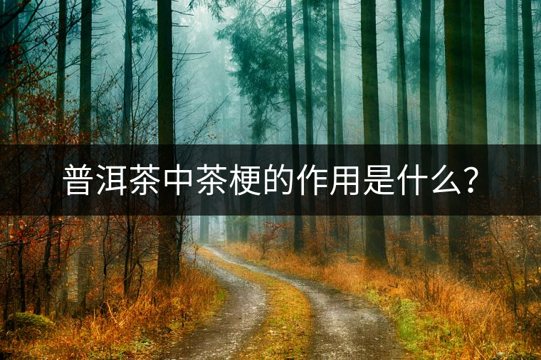 普洱茶中茶梗的作用是什么？