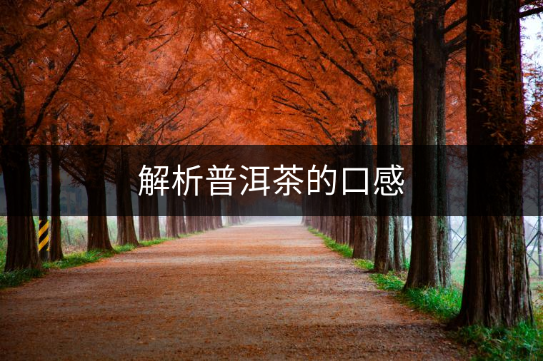 解析普洱茶的口感