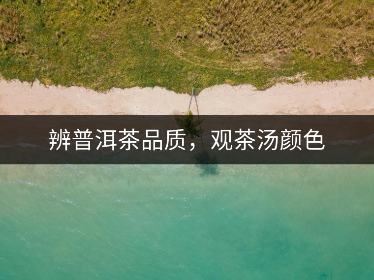 辨普洱茶品質(zhì)，觀茶湯顏色