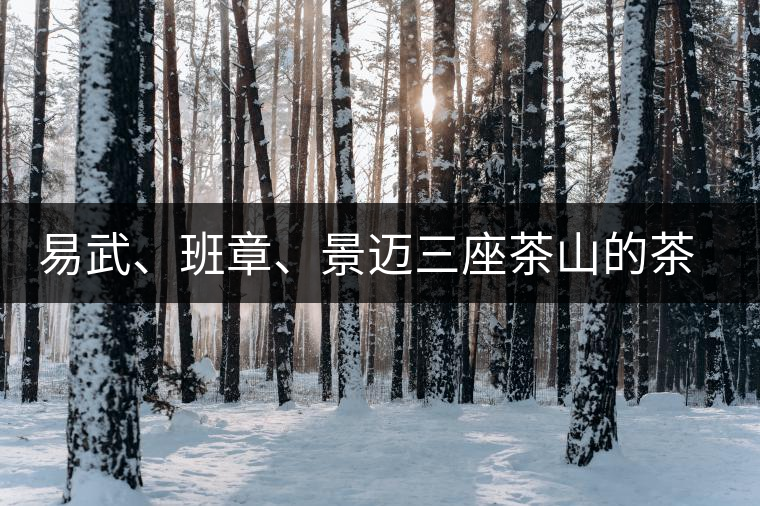 易武、班章、景邁三座茶山的茶比較