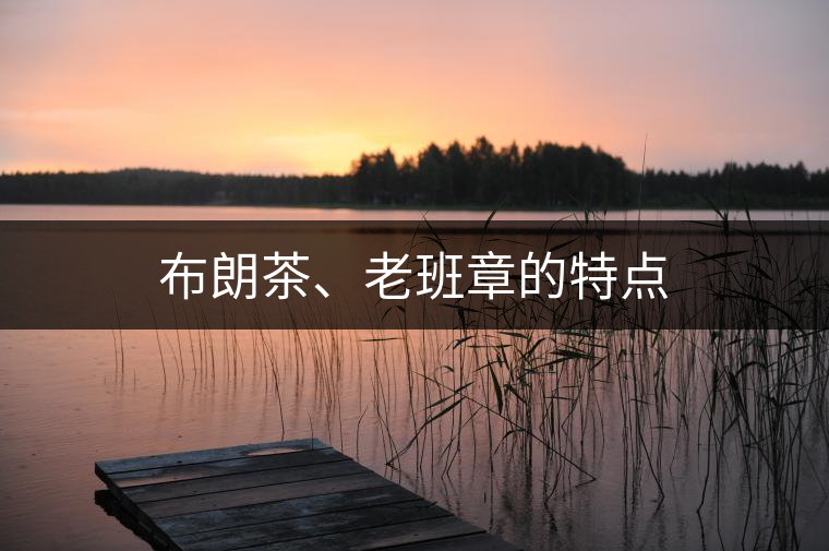 布朗茶、老班章的特點(diǎn)