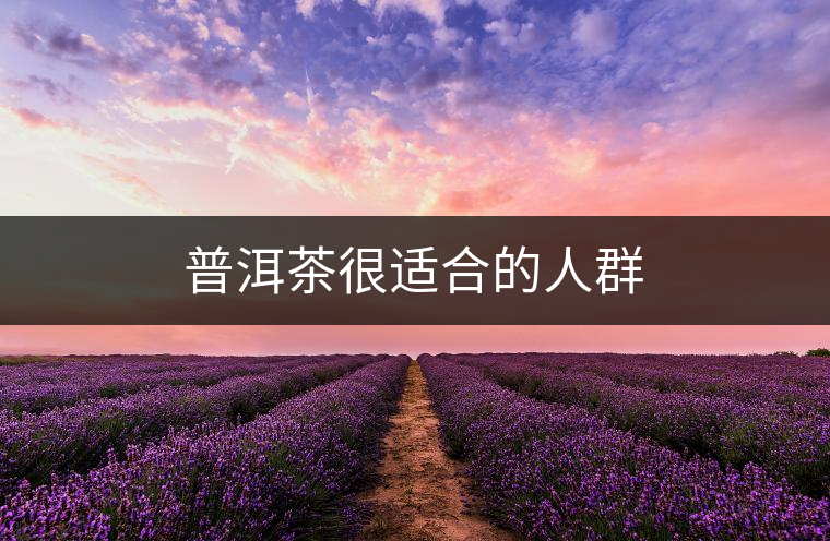 普洱茶很適合的人群