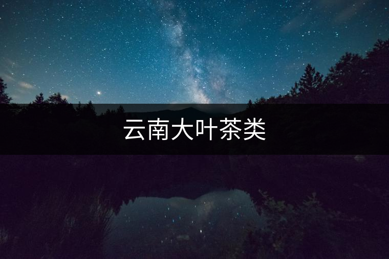 云南大葉茶類