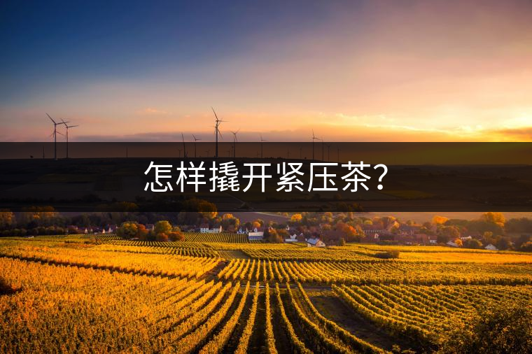 怎樣撬開緊壓茶？