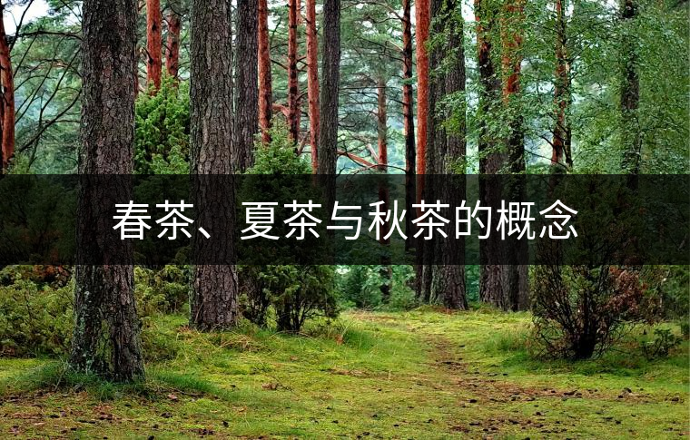 春茶、夏茶與秋茶的概念