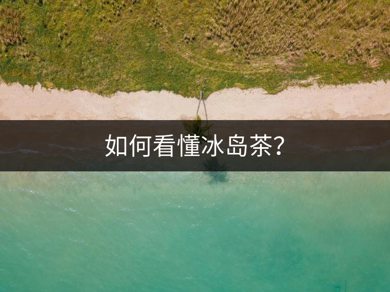 如何看懂冰島茶？