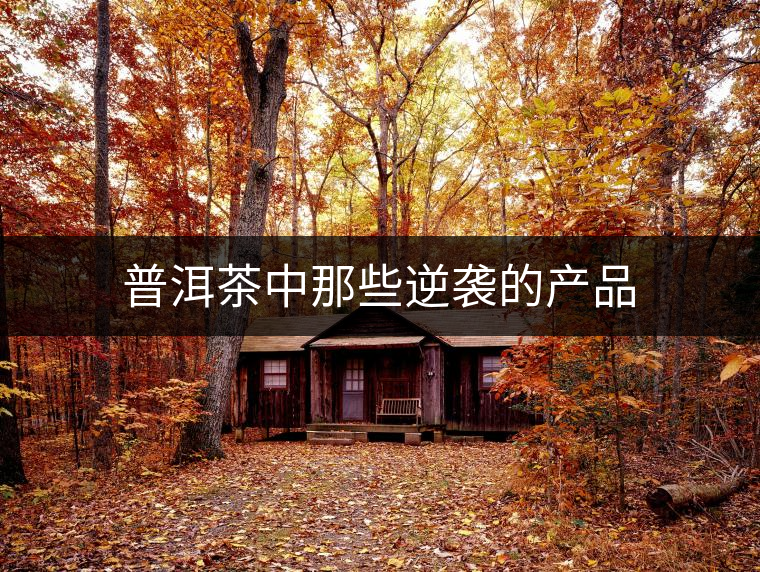 普洱茶中那些逆襲的產(chǎn)品